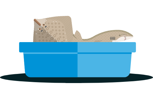 Requin, Raie (dessin)